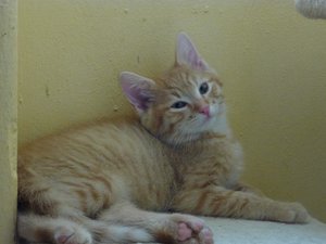 Kopie von P1050695.JPG