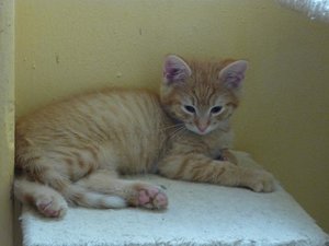 Kopie von P1050697.JPG