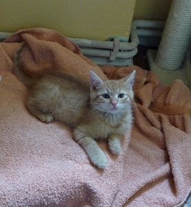 Kopie von P1050692.JPG