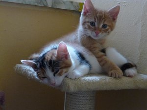 Kopie von P1050699.JPG