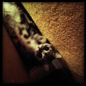 ImageUploadedByTapatalk 21372194345.252878.jpg