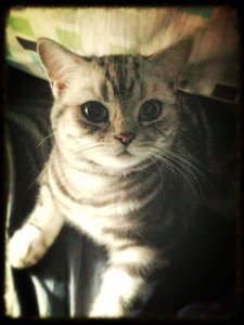 ImageUploadedByTapatalk 21372241733.039089.jpg