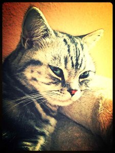 ImageUploadedByTapatalk 21372245946.729011.jpg