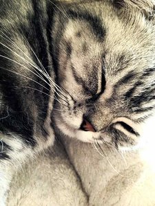 ImageUploadedByTapatalk 21372246970.655959.jpg