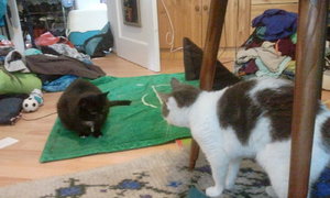 2013-06-26 14.43.11.jpg