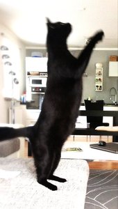 ImageUploadedByTapatalk 21372283903.604152.jpg