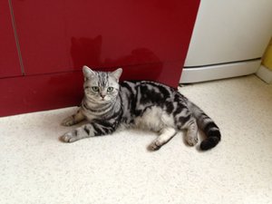 ImageUploadedByTapatalk 21372360763.251229.jpg