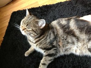 ImageUploadedByTapatalk 21372365423.306640.jpg