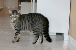 ImageUploadedByTapatalk 21372406295.133506.jpg