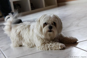 ImageUploadedByTapatalk 21372407892.329841.jpg