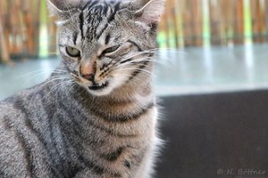 ImageUploadedByTapatalk 21372496116.734981.jpg