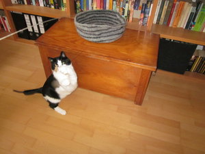 frido spielt wieder 005.JPG