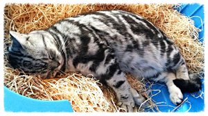 ImageUploadedByTapatalk 21372596099.288805.jpg