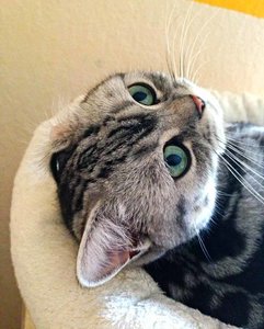 ImageUploadedByTapatalk 21372606532.786517.jpg