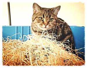 ImageUploadedByTapatalk 21372606630.788689.jpg