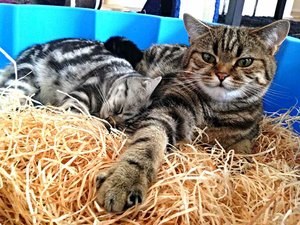 ImageUploadedByTapatalk 21372606706.105154.jpg