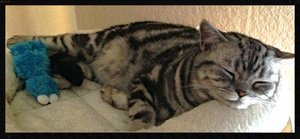 ImageUploadedByTapatalk 21372710370.254174.jpg