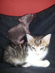 Willi mit Besuch.jpg