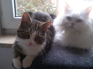 2013-04-07 08.42.11.jpg