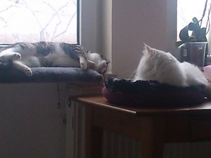 2013-04-07 08.55.14.jpg