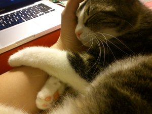 2013-04-10 23.51.17.jpg