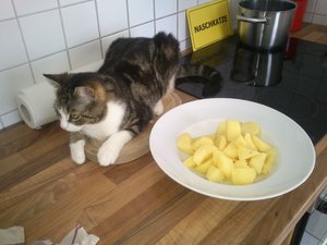 2013-04-14 12.32.42.jpg