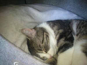 2013-04-22 13.35.00.jpg