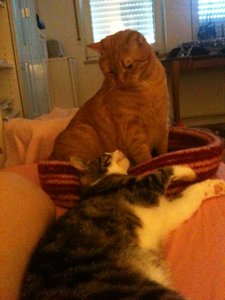 2013-06-21 08.31.44.jpg