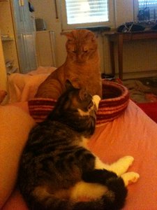 2013-06-21 08.32.59.jpg