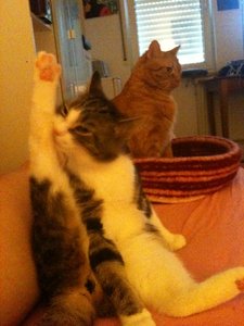 2013-06-21 08.33.34.jpg