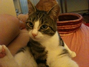 2013-06-21 08.35.05.jpg