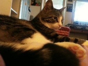 2013-06-21 08.36.34.jpg