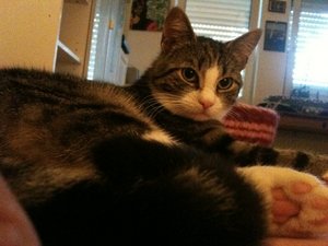 2013-06-21 08.36.44.jpg