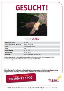 TASSO_Suchplakat_97886 (1).jpg