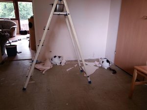 vorher mit helfern.jpg