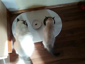 20130702_190827 (Small).jpg