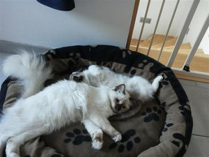 20130702_063925 (Small).jpg