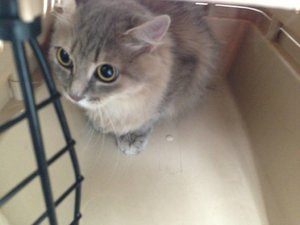 ImageUploadedByTapatalk 21373013466.614125.jpg