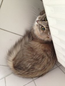 ImageUploadedByTapatalk 21373013487.891477.jpg