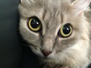 ImageUploadedByTapatalk 21373018759.296526.jpg