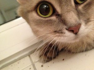 ImageUploadedByTapatalk 21373058863.674014.jpg