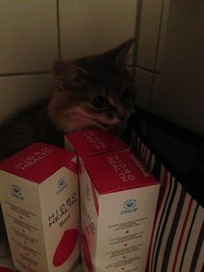 ImageUploadedByTapatalk 21373059292.544701.jpg