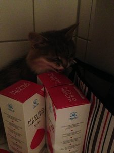 ImageUploadedByTapatalk 21373059302.527164.jpg