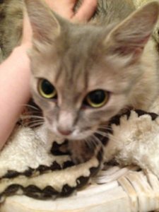 ImageUploadedByTapatalk 21373060389.355713.jpg