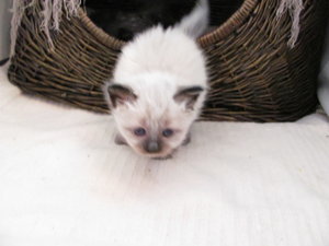 IMG_2070 - Kopie.JPG