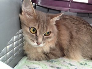 ImageUploadedByTapatalk 21373103214.122159.jpg