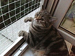 ImageUploadedByTapatalk 21373149162.705558.jpg