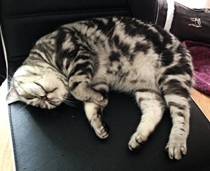 ImageUploadedByTapatalk 21373149340.247073.jpg ImageUploadedByTapatalk 21373149340.247073.jpg