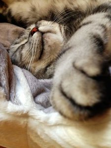 ImageUploadedByTapatalk 21373224404.608585.jpg