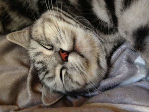 ImageUploadedByTapatalk 21373224450.459354.jpg